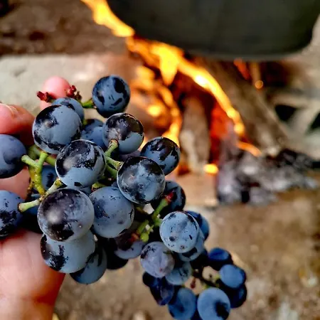 Vendégház Rira - Rrajce, Shebenik