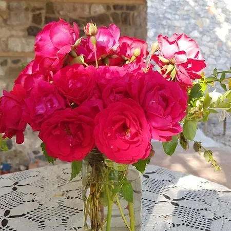 Vendégház Rira - Rrajce, Shebenik