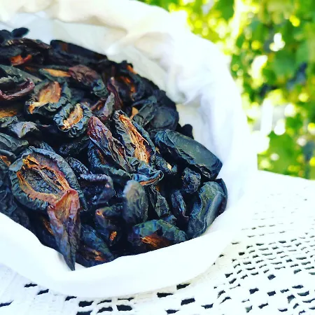 Rira - Rrajce, Shebenik Vendégház 3*