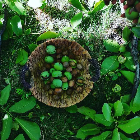 Rira - Rrajce, Shebenik Vendégház Perrenjas