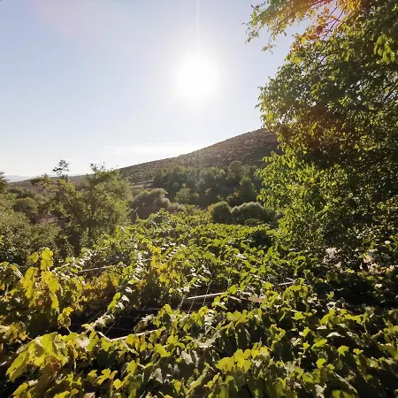 Rira - Rrajce, Shebenik Vendégház Perrenjas