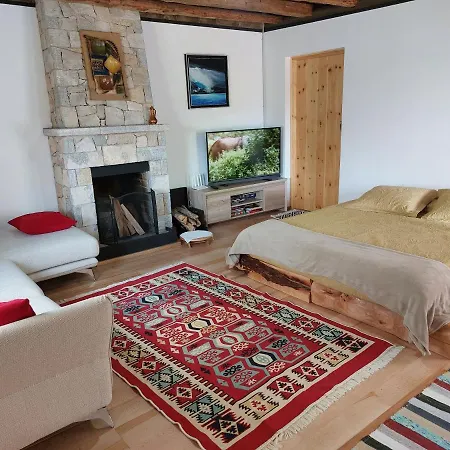 Rira - Rrajce, Shebenik 3*