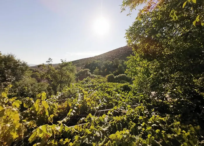 Rira - Rrajce, Shebenik Penzion Perrenjas