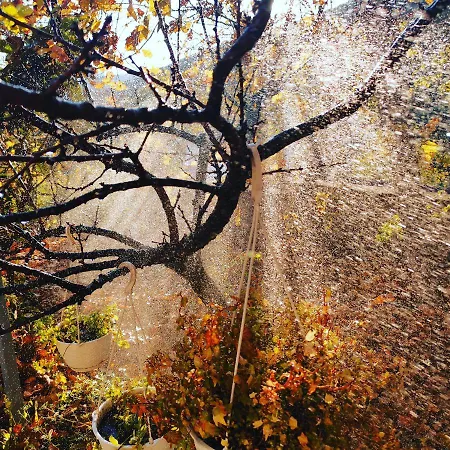 Rira - Rrajce, Shebenik 게스트하우스 Perrenjas