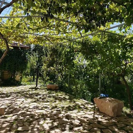 Rira - Rrajce, Shebenik Perrenjas