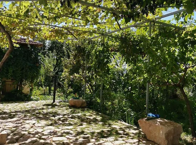 Rira - Rrajce, Shebenik Perrenjas