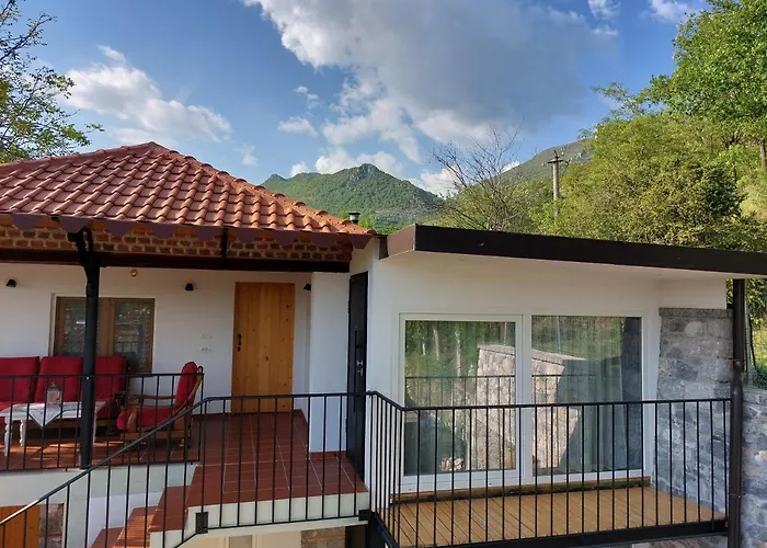 Rira - Rrajce, Shebenik